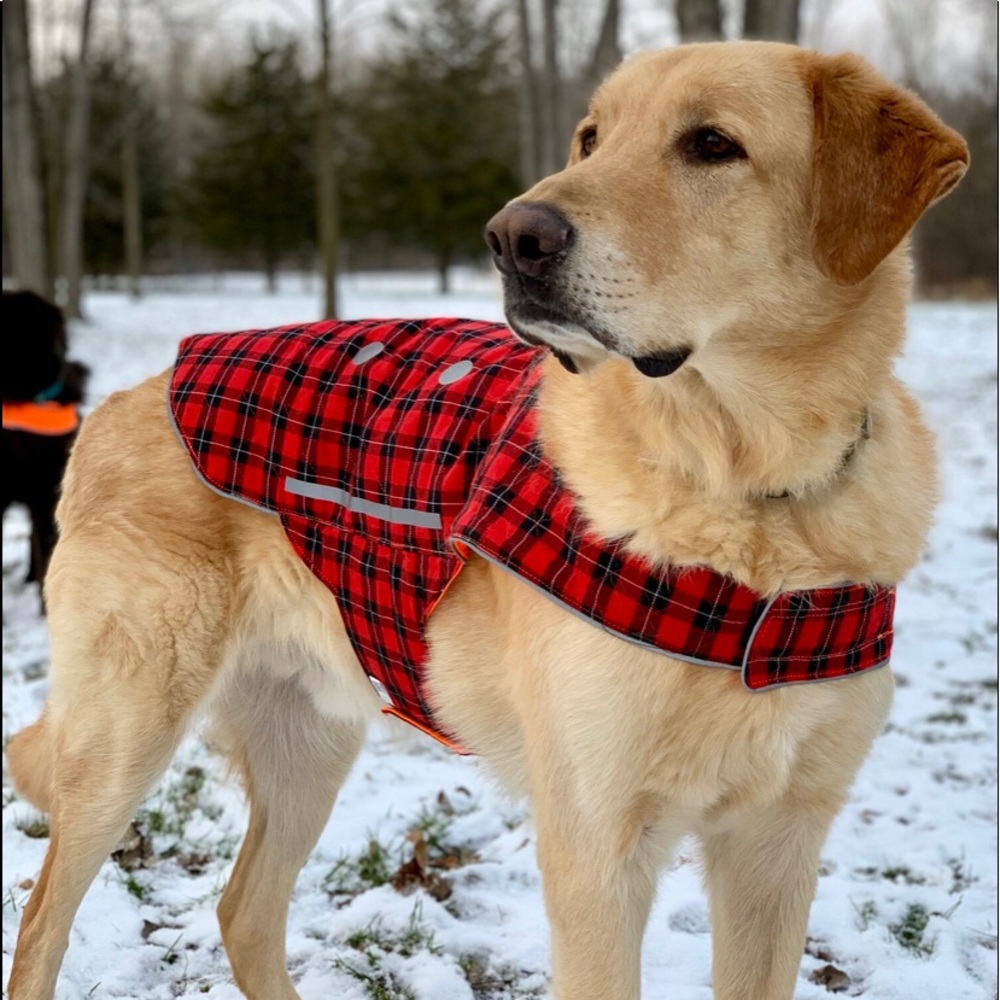 Meet your Posher, Valerie